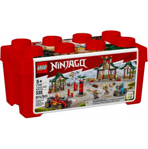 Lego konstruktor Ninjago 71787 Creative Ninja Brick Box 5702017413037